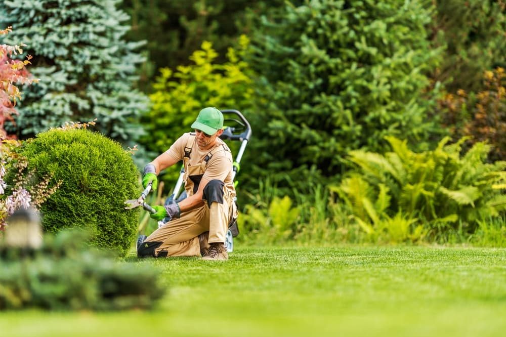 Devenir Jardinier Paysagiste avec un CAP Jardinier Paysagiste en alternance