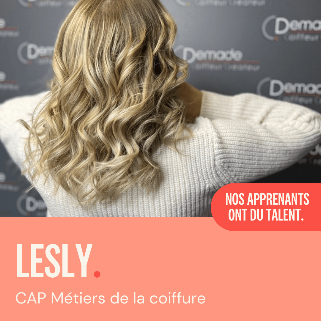 Le CFA CAP Maintenance des Véhicules option Voitures particulières de L